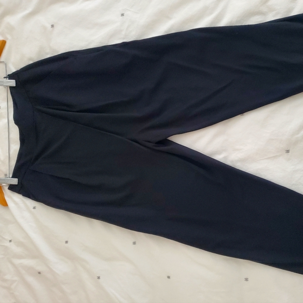 Allsaints cropped pleated dress pants